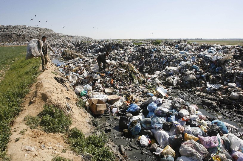 Wiceminister klimatu Jacek Ozdoba zapowiedział podniesienie kar za przestępstwa środowiskowe /AFP