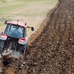 Wiceminister rolnictwa: Będzie nowelizacja ustawy o sprzedaży państwowej ziemi rolnej