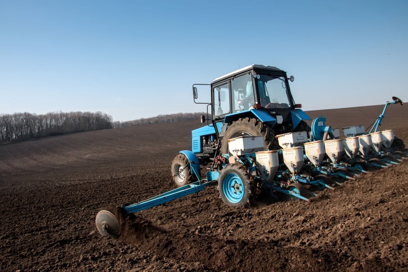 Wiceminister rolnictwa ostrzega przed masowym importem ziemniaków z Ukrainy /123RF/PICSEL