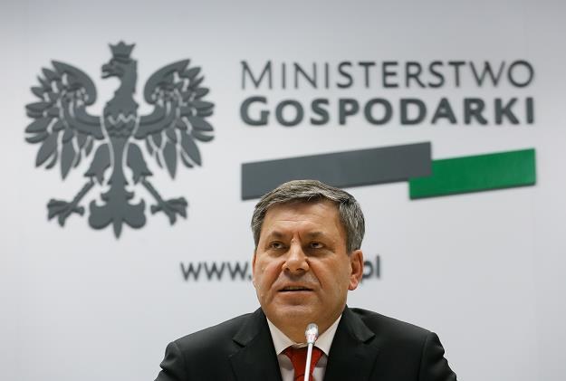 Wicepremier, minister gospodarki Janusz Piechociński /PAP