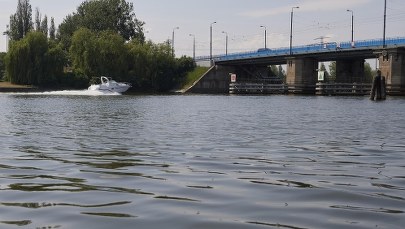 Wiceprezydent Gdańska: Nie było katastrofy ekologicznej