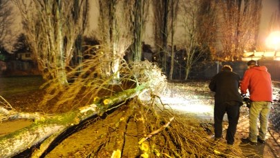 Wichura pozrywała linie energetyczne. Tysiące ludzi bez prądu