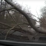 Wichura przewraca drzewo pod nadjeżdżające auto. Jest wideo!