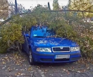 Wichura zniszczyła ci auto? Sprawdź jakie masz prawa