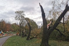 Wichura zniszczyła Park Kusocińskiego w Olsztynie