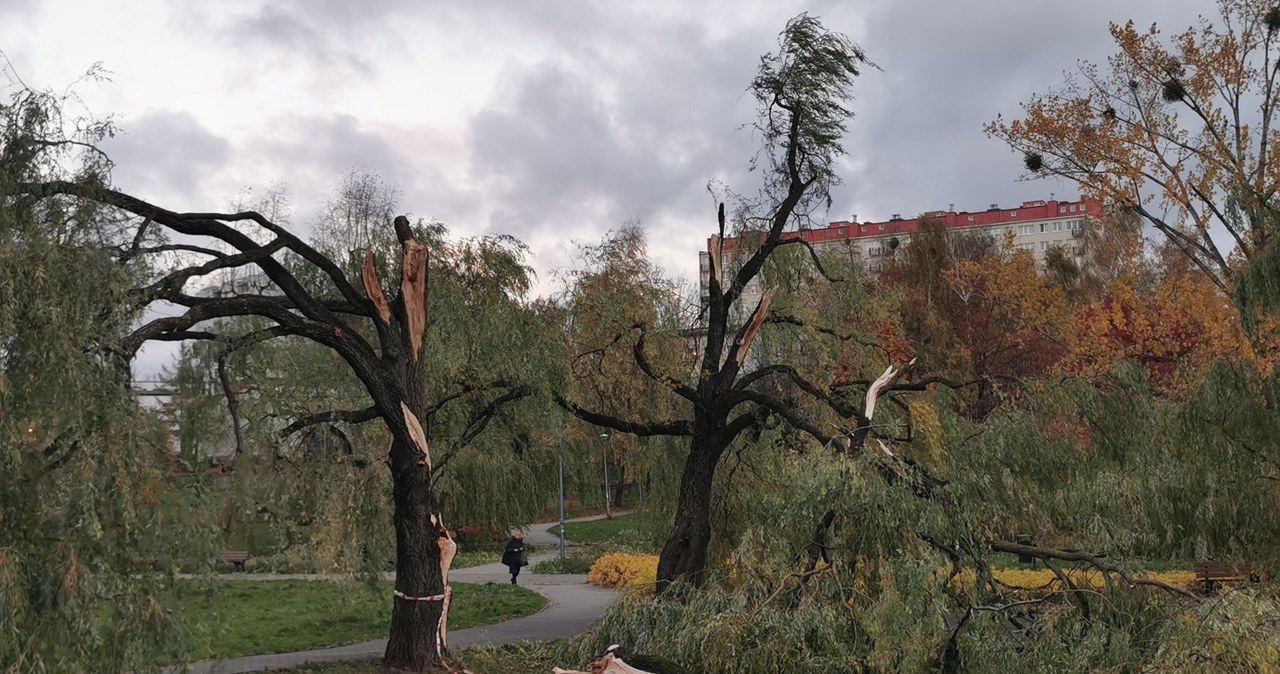Wichura zniszczyła Park Kusocińskiego w Olsztynie