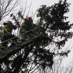 Wichury na Podkarpaciu: "Strażacy nie wracali do garaży", tysiące domów bez prądu