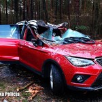 Wichury na polskich drogach: zmarł kierowca Seata