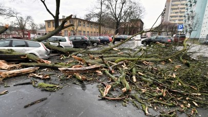 Wichury nad Polską. Blisko 900 interwencji straży, spadający konar ranił dwie kobiety