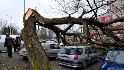 Wichury nad Polską. Silny wiatr łamał drzewa