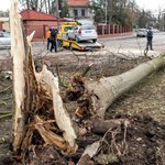 Wichury nad Polską: Wiatr łamał drzewa, zrywał dachy i linie energetyczne