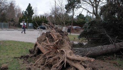 Wichury przechodzą przez Polskę. Są ranni i ofiary śmiertelne [RELACJA]