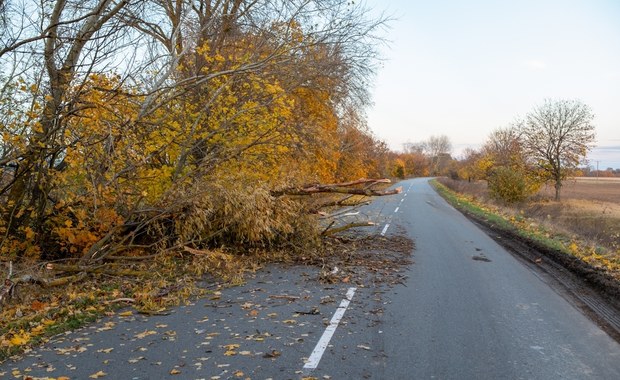 Wichury w Polsce. Ponad 100 tys. odbiorców bez prądu