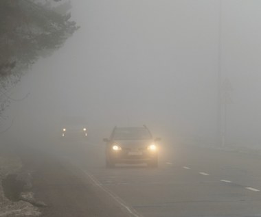 Widoczność taka, że nic nie widać. Jak jechać autem we mgle?