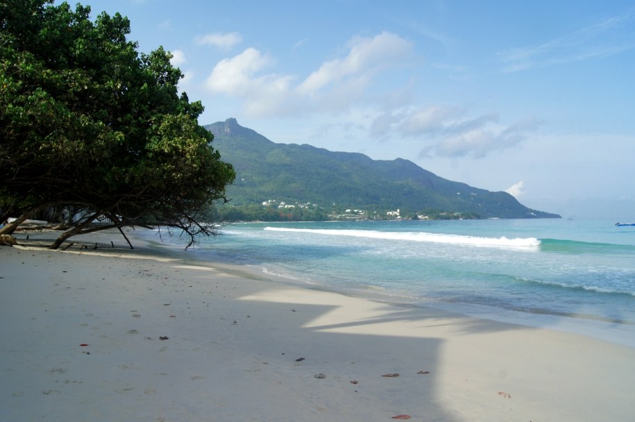 Widocznymi pozostalościami kontynentu mogą być m.in. Seszele /Carola Frentzen    /PAP/EPA