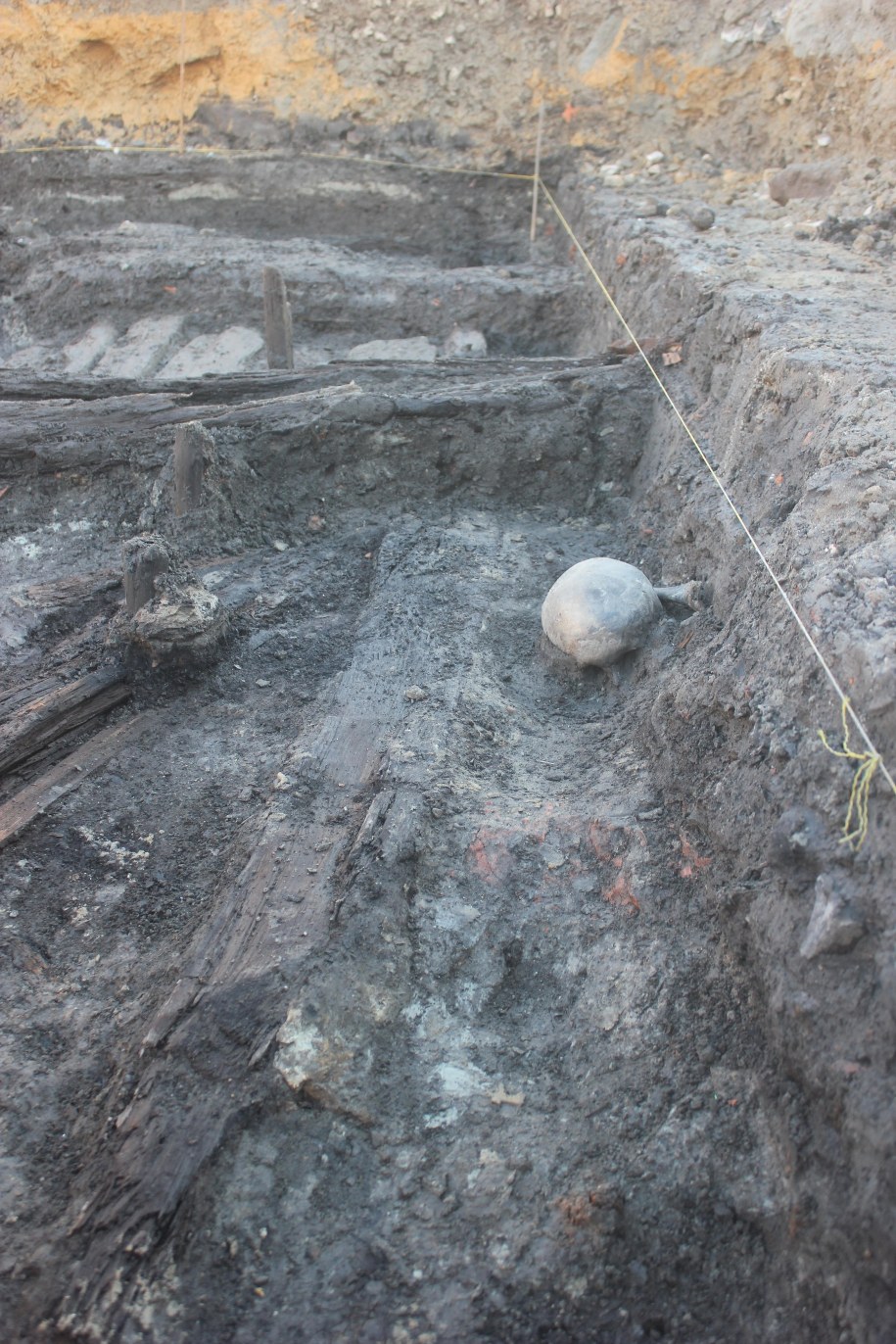Widok czaszki pochówku 1 na głębokości 1,2 m /Marcin Paternoga /Materiały prasowe