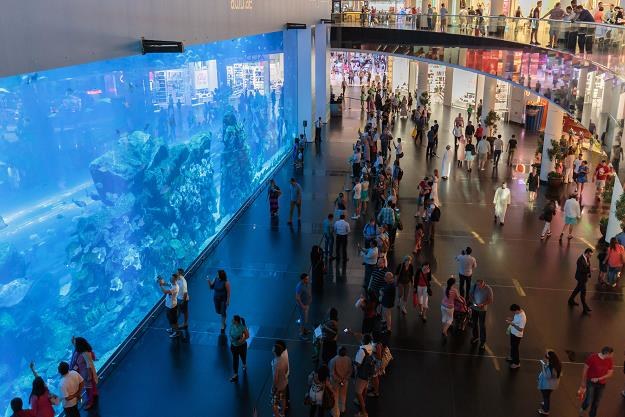 Widok Dubai Aquarium wewnątrz centrum handlowego w Dubaju /&copy;123RF/PICSEL