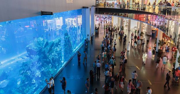 Widok Dubai Aquarium wewnątrz centrum handlowego w Dubaju /&copy;123RF/PICSEL