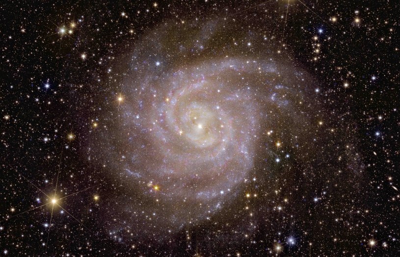 Widok Euklida na galaktykę spiralną IC 342 /ESA/Euclid/Euclid Consortium/NASA, obróbka obrazu: J.-C. Cuillandre (CEA Paryż-Saclay), G. Anselmi, CC BY-SA 3.0 IGO /domena publiczna