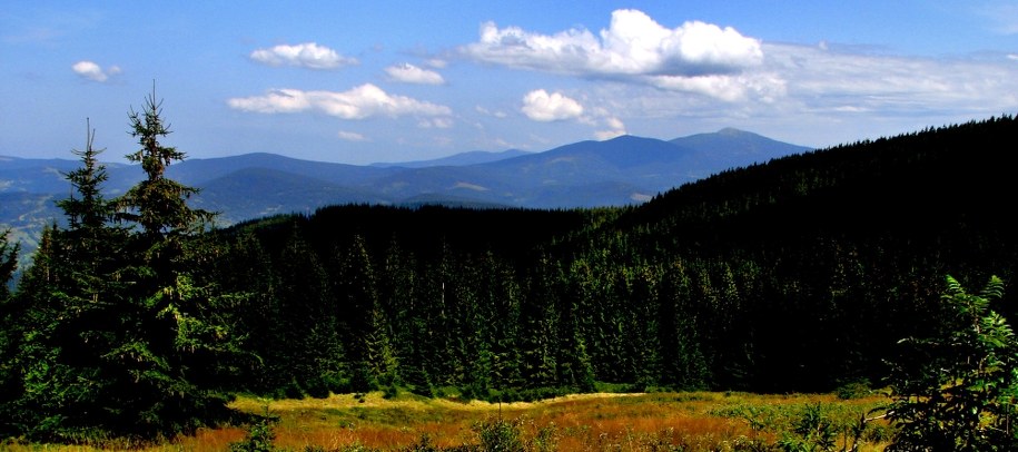 Widok na Babią Górę ze stoków Pasma Police /Marek Angiel /PAP