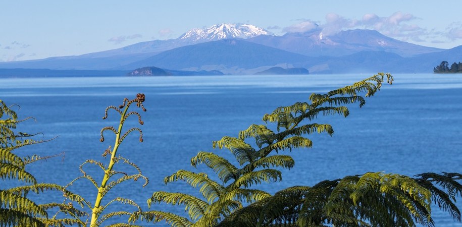 Widok na jezioro kraterowe Taupō /Shutterstock