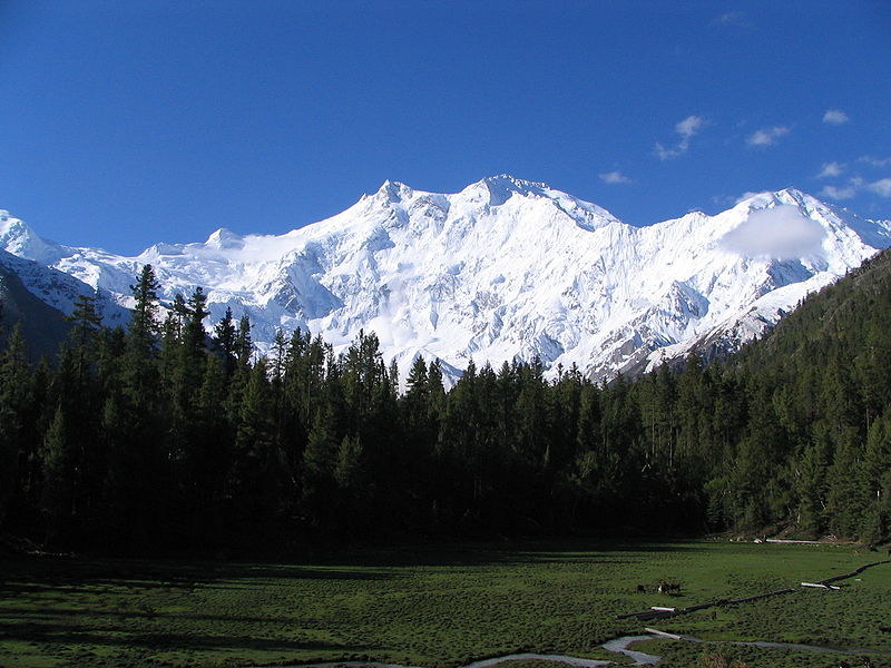 Widok na Nanga Parbat /Wikimedia Commons /materiały prasowe