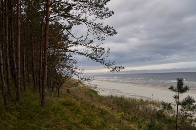 Widok na plażę Zatoki Gdańskiej na wysokości miejscowości Nowy Świat na Mierzei Wiślanej /Adam Warżawa /PAP