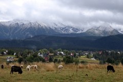 Widok na przyprószone śniegiem Tatry Wysokie 