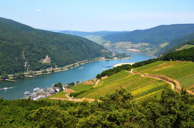 Widok na Ren ze wzgórza w Rüdesheim. /Shutterstock