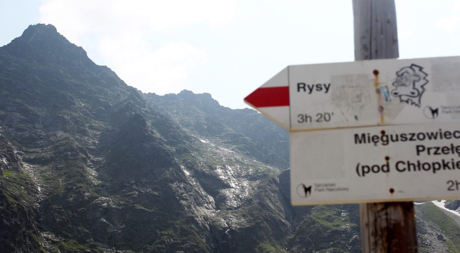 Widok na Rysy / PAP/Grzegorz Momot  /PAP