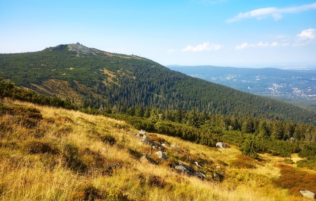 Widok na Szrenicę /Shutterstock