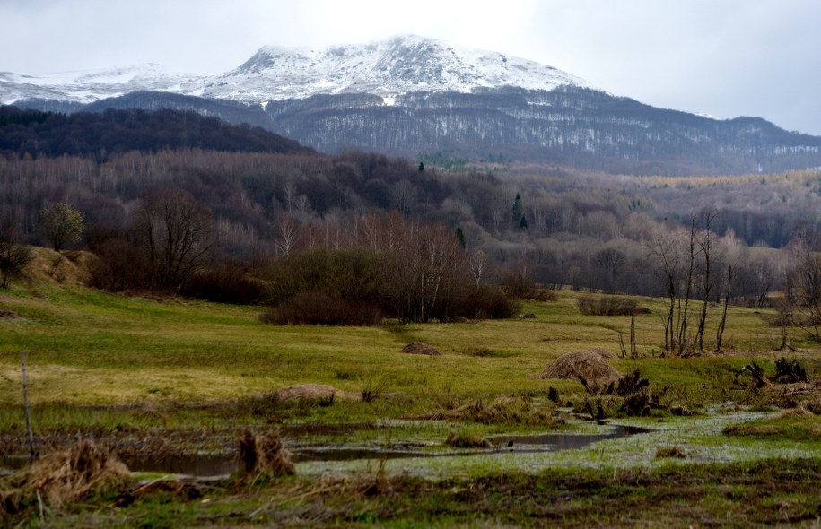 Widok na Tarnicę - najwyższy szczyt w Bieszczadach /Darek Delmanowicz /PAP