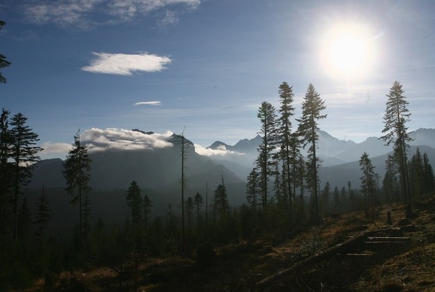 Widok na Tatry słowackie z Wierch Porońca /Grzegorz Momot /PAP