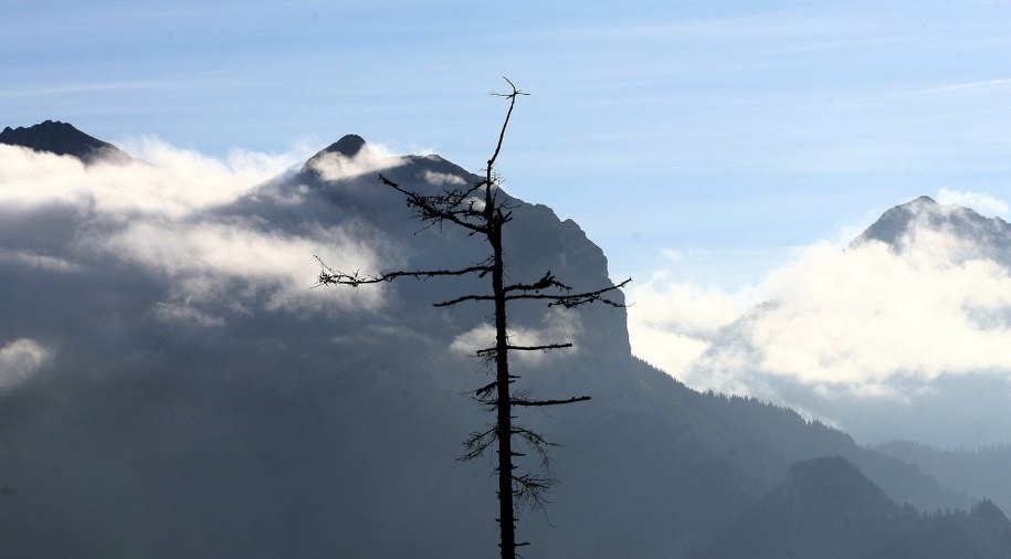 Widok na Tatry słowackie z Wierch Porońca /Grzegorz Momot /PAP