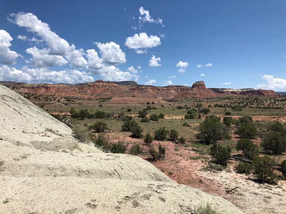 Widok na tereny Ghost Ranch oraz późnotriasowe skały z rejonu kamieniołomów Hayden /Fot. Nate Smith /Materiały prasowe