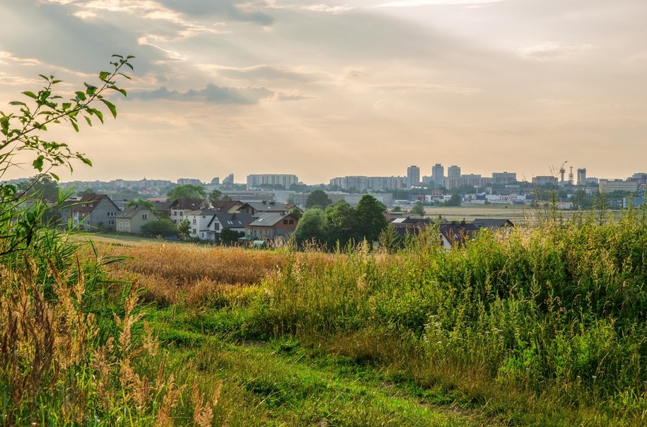 Widok na Tychy na zdjęciu z lipca 2017 roku /Shutterstock