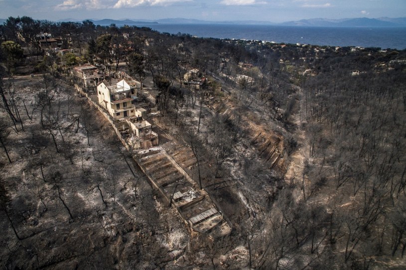 Widok na zniszczone przez pożary Mati /SAVVAS KARMANIOLAS  /AFP