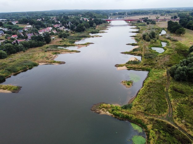 Widok z drona na Odrę / 	Lech Muszyński    /PAP