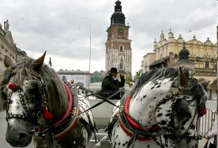 Widok z oczu przechodnia - tak można opisać Street View /AFP