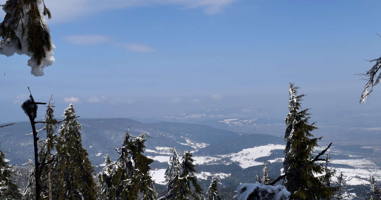 Widok z "pierwszego" piętra wieży /EKM /INTERIA.PL