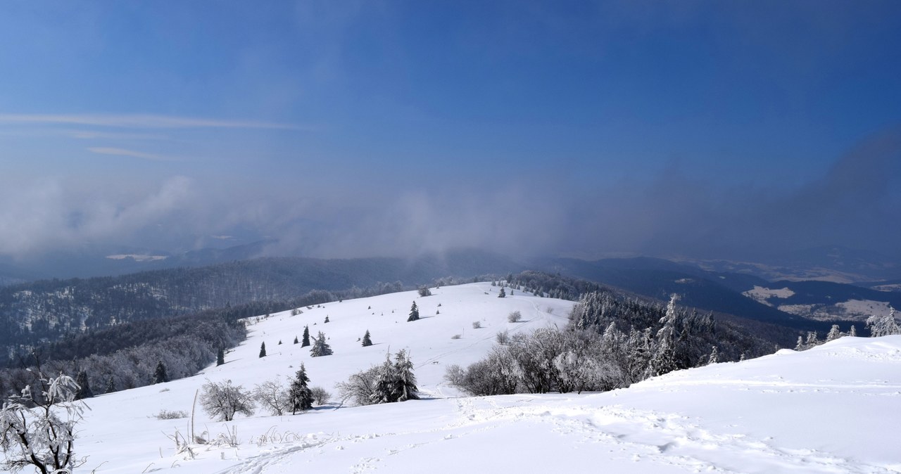 Widok z polany /EKM /INTERIA.PL