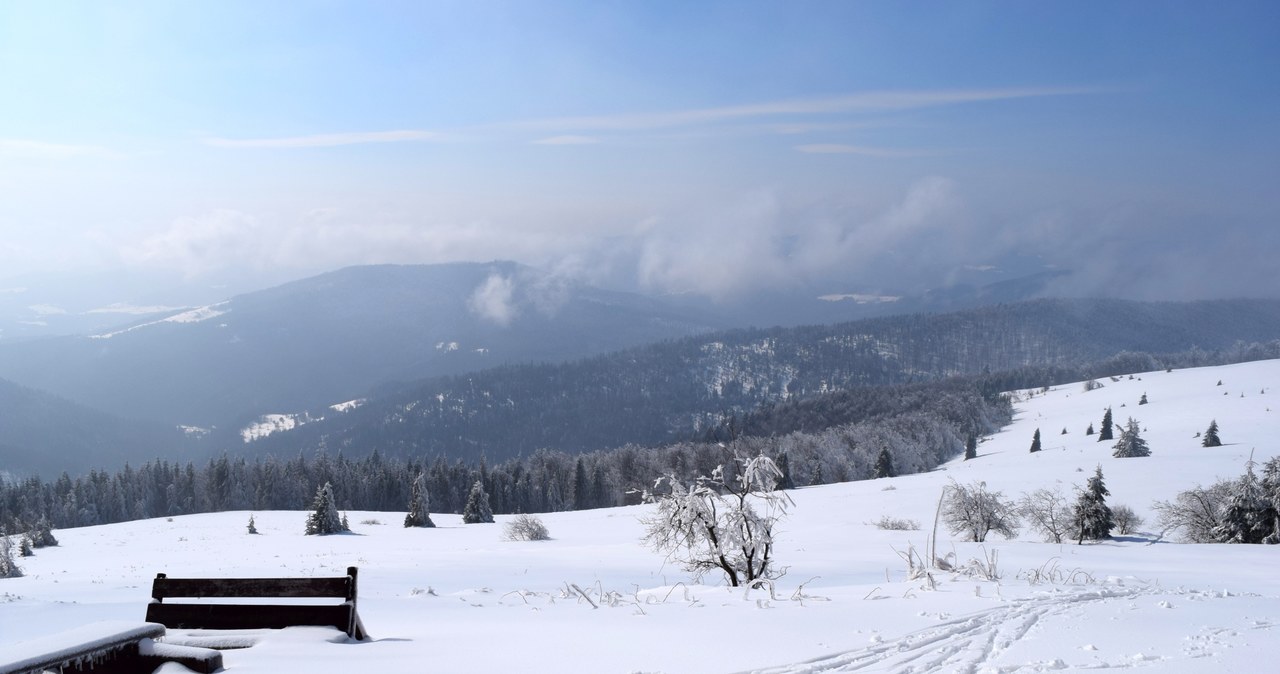 Widok z polany /EKM /INTERIA.PL