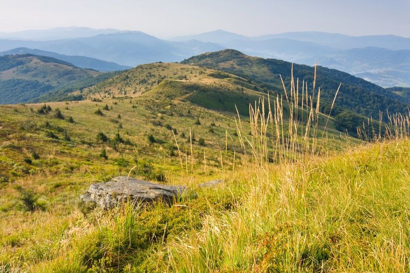 Widok z Tarnicy zapiera dech w piersiach! /123RF/PICSEL