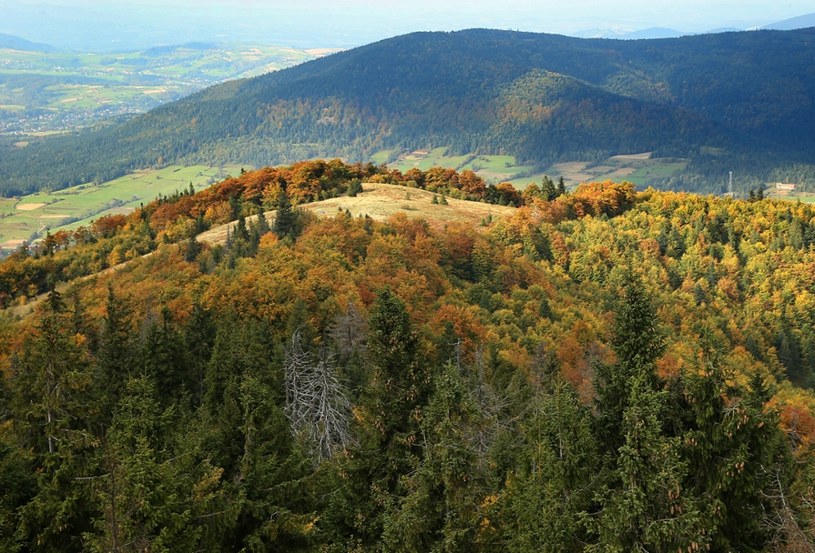 Widok z wieży widokowej na Mogielicy /MONKPRESS /East News
