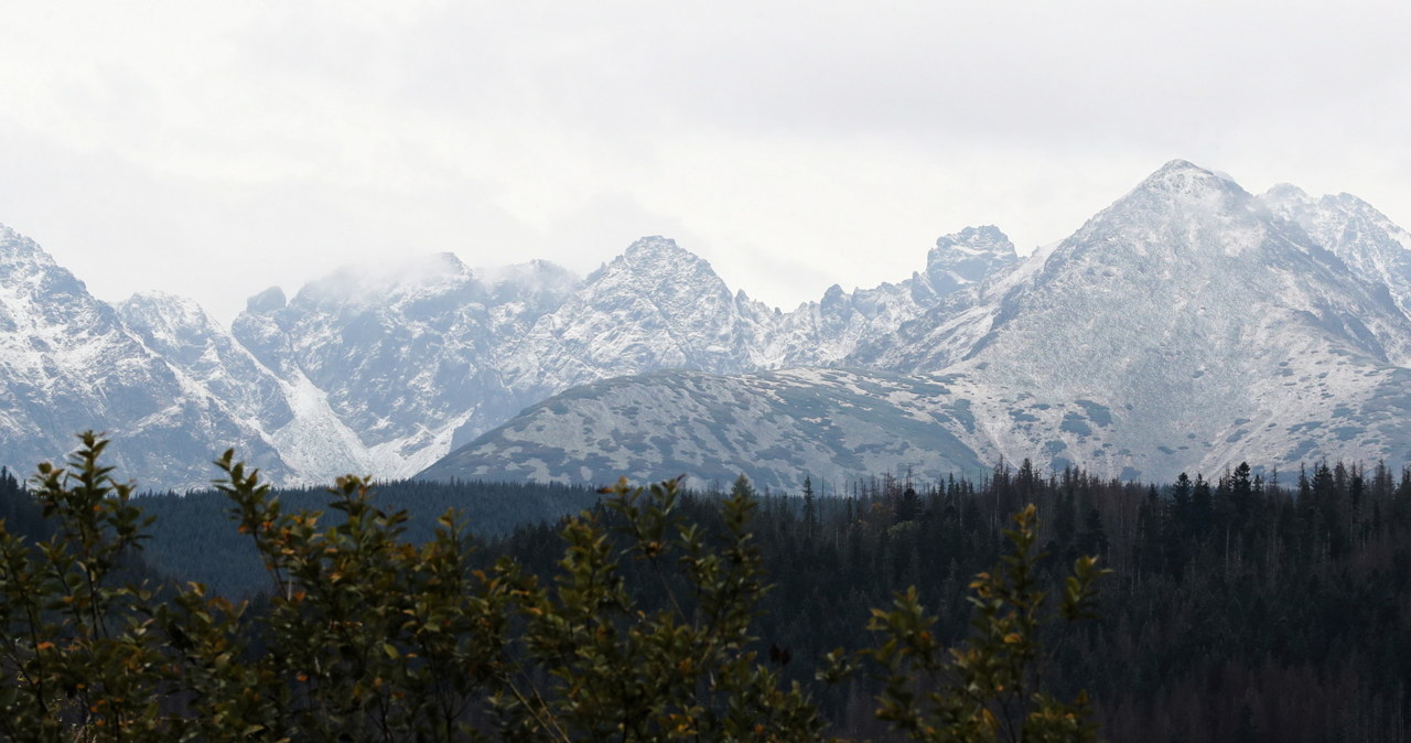 Widok z Zakopanego na ośnieżone Tatry / 	Grzegorz Momot    /PAP