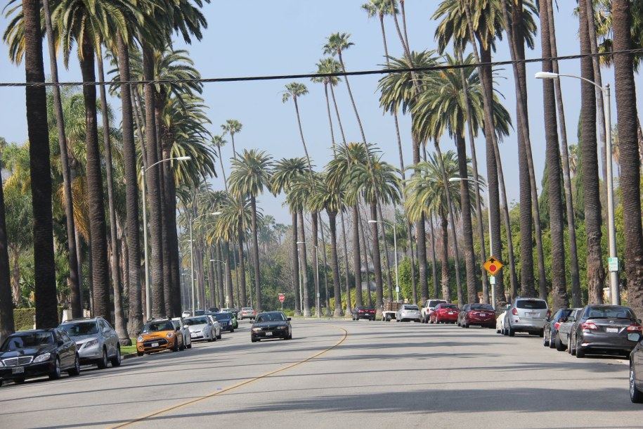 Widoki godne Oscara /Paweł Żuchowski /RMF FM