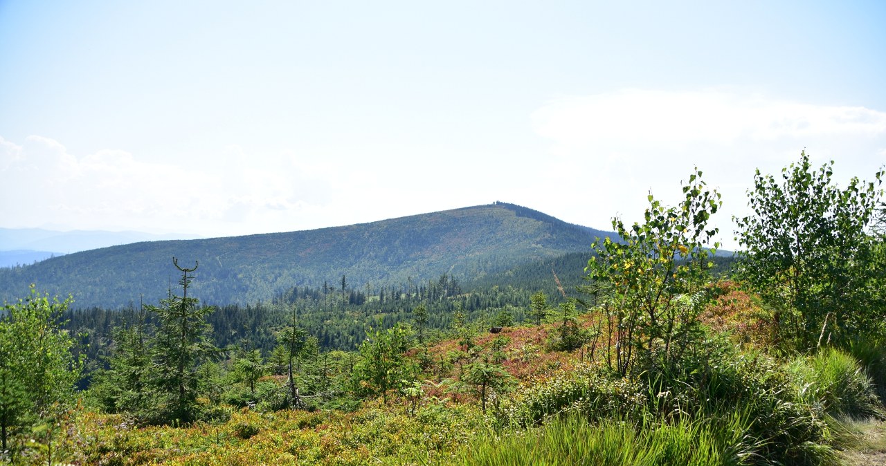 Widoki w Beskidzie Śląskim zachwycają o każdej porze roku. Wiosną jest tutaj szczególnie urokliwie