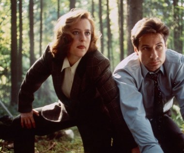 Widzowie domagali się ich powrotu. Marzenia zderzyły się z rzeczywistością