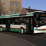 Więcej autobusów z Polski