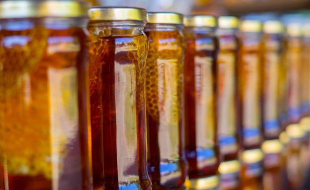 Więcej miejskich uli w Katowicach. Sprawdź, gdzie powstają następne